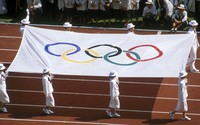 Индийские спортсмены выступят на ОИ-2014 под олимпийским флагом