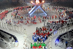 Представители 14-ти из 15-ти олимпийских видов спорта стали знаменосцами сборных своих стран на церемонии открытия Олимпиады в Сочи