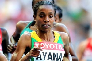 Эфиопские бегуньи заняли весь пьедестал в беге на 5000 метров на ЧМ в Пекине