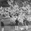 1912 год, Стокгольм, V Олимпийские Игры, легкая атлетика: на старте марафонского забега