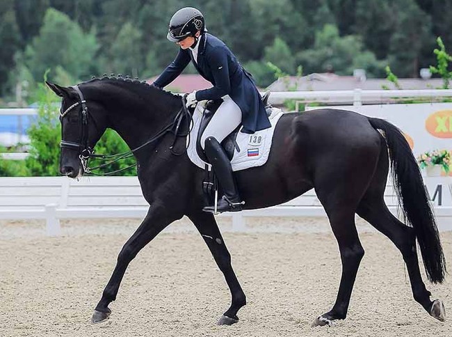 В Федерации конного спорта России рассчитывают на приличный результат команды на Олимпиаде в Токио