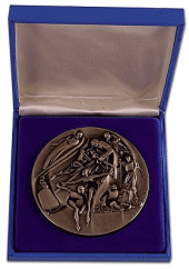 Лейк Плэсид 1980: памятная медаль, медаль участника Олимпийских Игр
