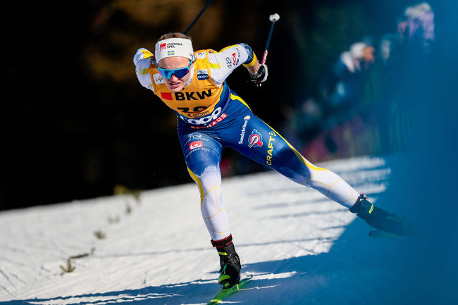 Линн Сван Линн Сван