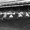 Лондон 1908: лёгкая атлетика, соревнования по перетягиванию каната. Команда США в действии